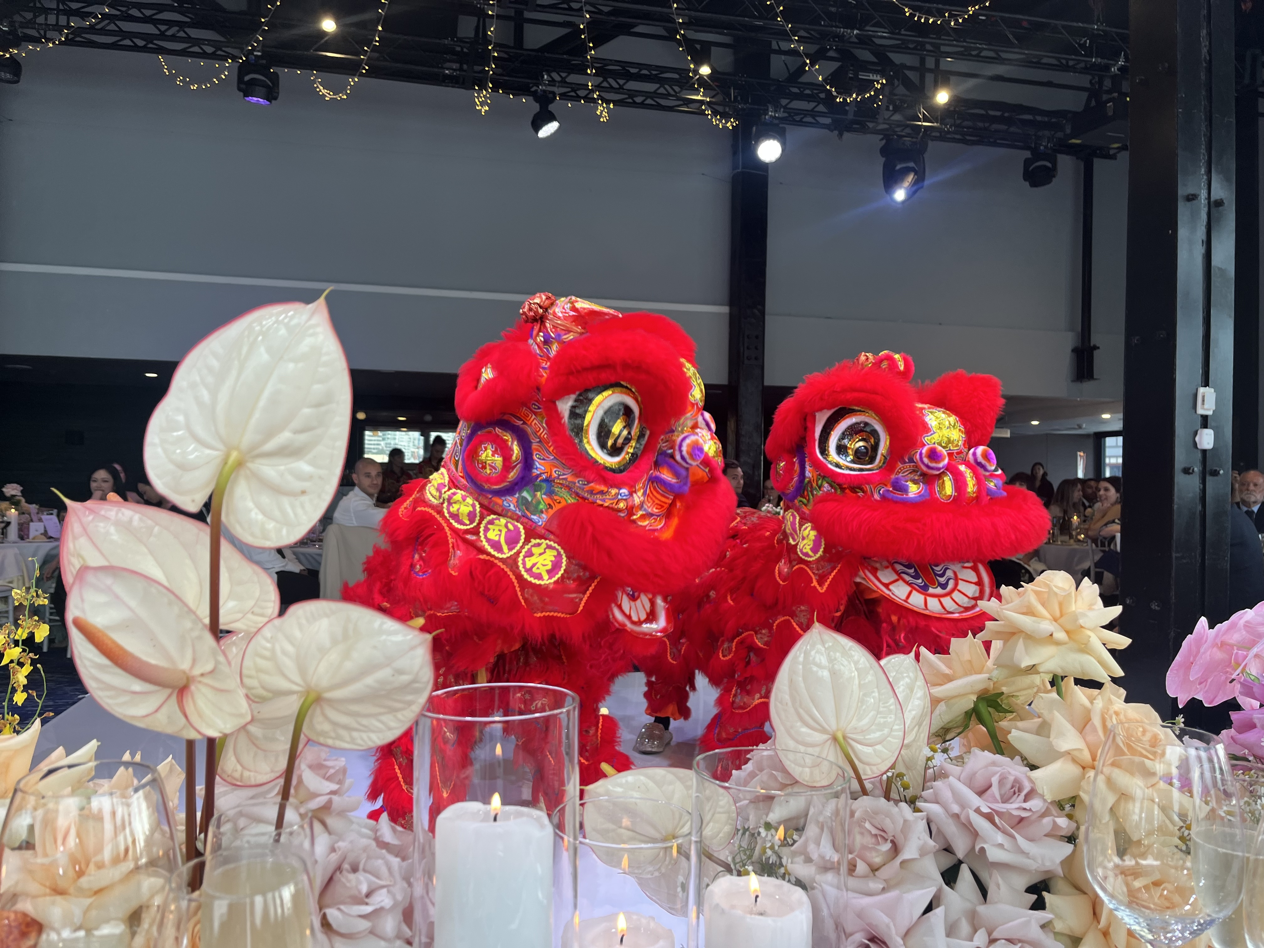 Red Knot Events celebration